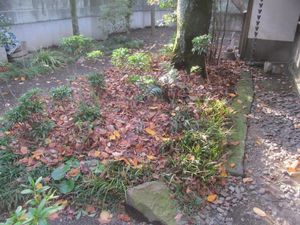品川1−1.JPG.jpg