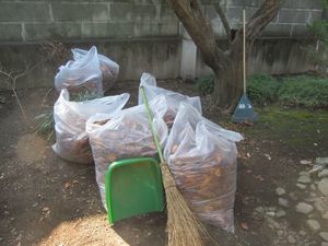 品川1−3.JPG.jpg