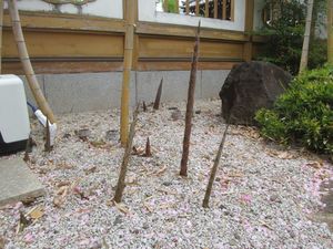 品川2−1.JPG.jpg
