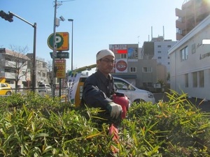 植え込み手入れ中.jpg