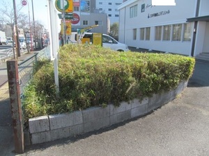 植え込み手入れ後.jpg