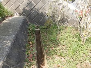 側溝清掃3.JPG.jpg