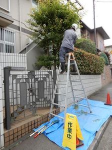 新百合ヶ丘剪定中.jpg