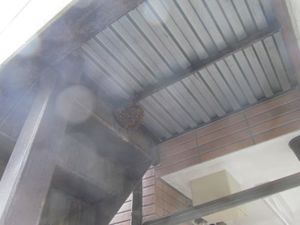 蜂の巣撤去1.jpg