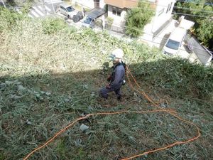 青葉区急傾斜草刈2.JPG.jpg