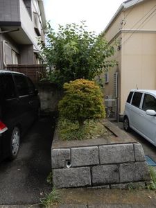 麻生区植木剪定1−1.jpg