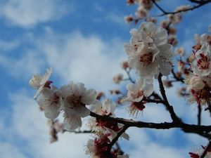 25日品川2.JPG.jpg