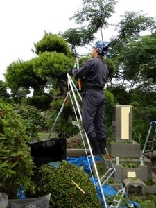 5日多磨霊園.jpg